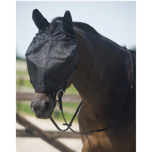Riding Fly Mask with Ears
