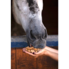 Hooves Blueberry Pie
