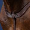 Anatomische borsttuig