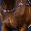 Collier De Chasse Anatomique