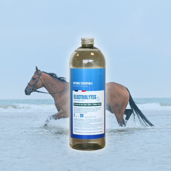 Electrolytes – Sea Water
