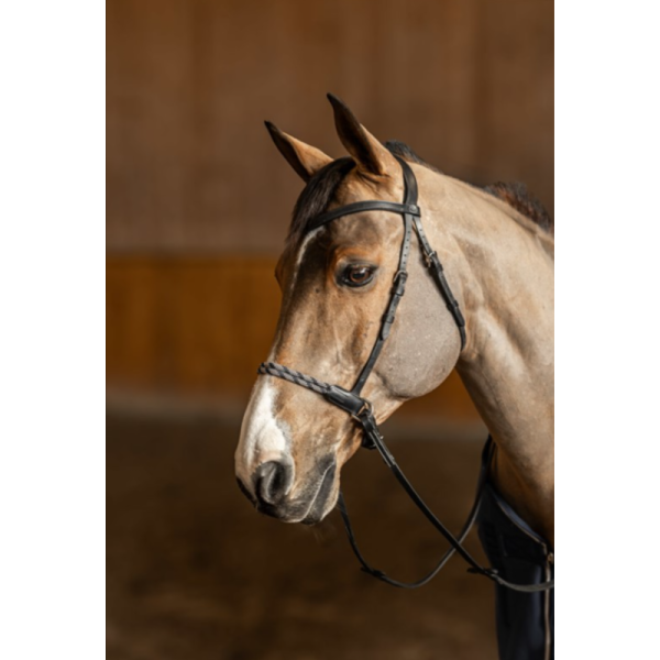 HFI Freedom Bitless Bridle