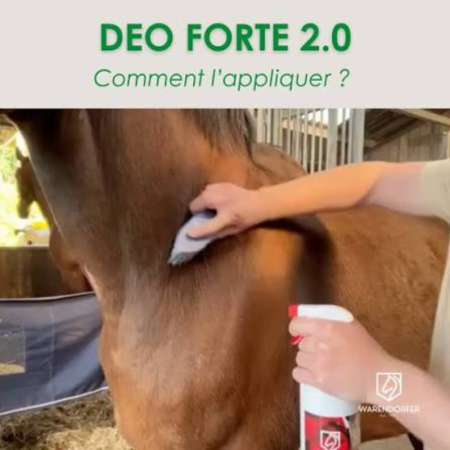 Deo Forte 2.0