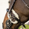 Protection d'hackamore en mouton artificiel