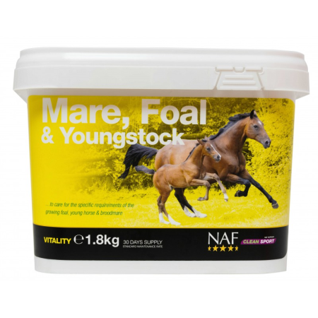 NAF - Mare, Foal & Youngstock