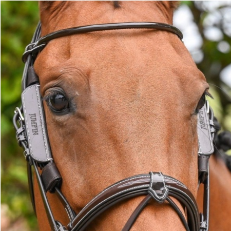 Jump'In Week Removable Leather Blinkers