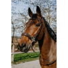 NORTON Compet Hackamore hoofdstel