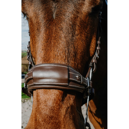 NORTON Compet Hackamore hoofdstel
