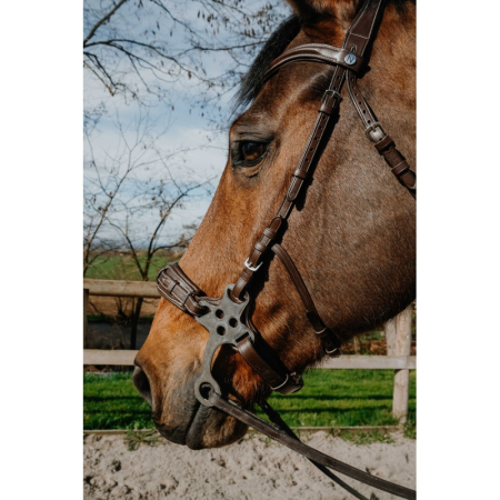 NORTON Compet Hackamore hoofdstel