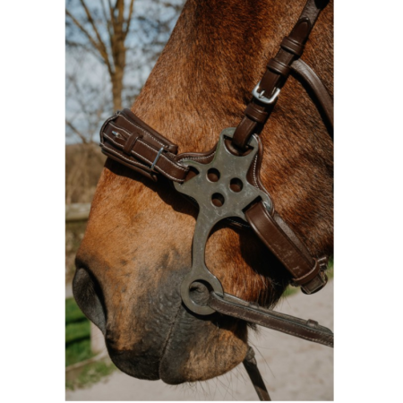 NORTON Compet Hackamore hoofdstel