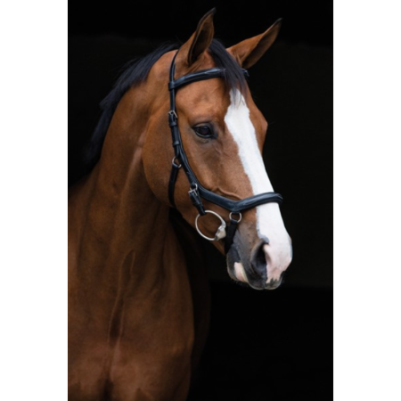Micklem Deluxe Competition hoofdstel