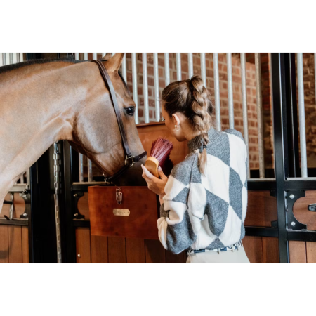 Kopie van Grooming Deluxe Middellange Zachte Borstel