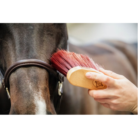 Kopie van Grooming Deluxe Middellange Zachte Borstel