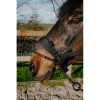 EQUITHÈME Control halster