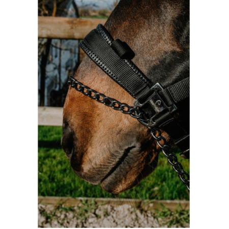 Licol EQUITHÈME Control