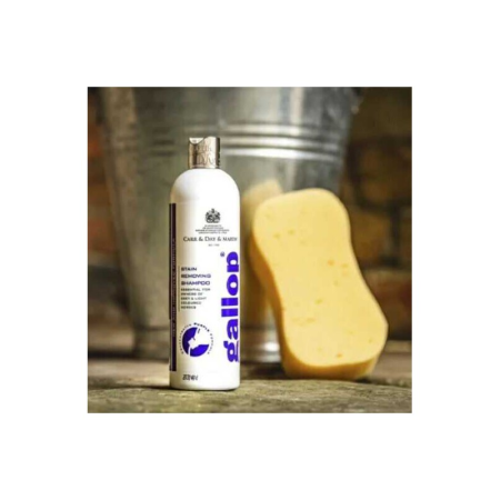 Gallop® Stain Removing Shampoo – CARR & DAY & MARTIN