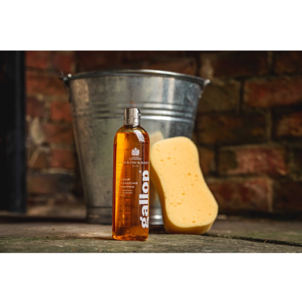 Gallop® Shampoo Kastanje & Palomino – CARR & DAY & MARTIN