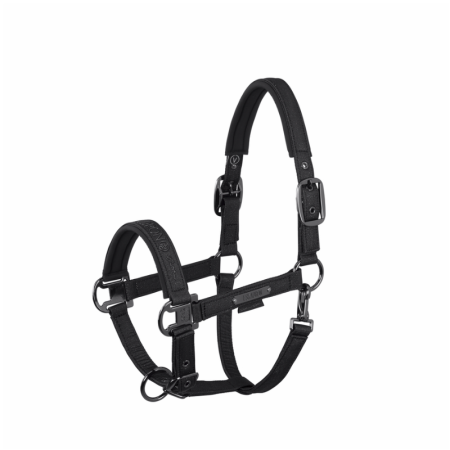 SPARKLE DOUBLE PIN Platinum Headcollar
