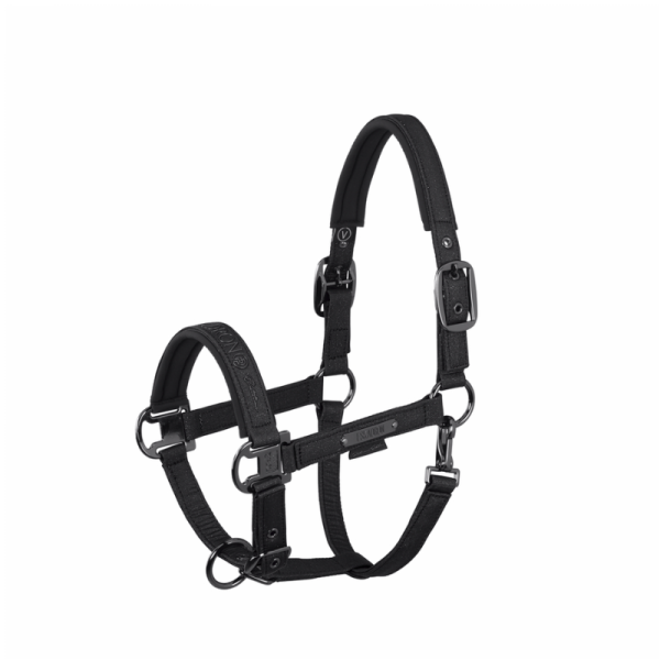 SPARKLE DOUBLE PIN Platinum Halster