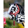 Hobby Horse Dakota