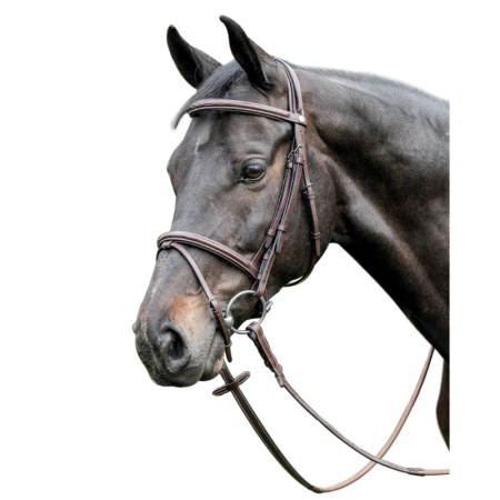 raised finish with elegant decorative stitching Bridle
