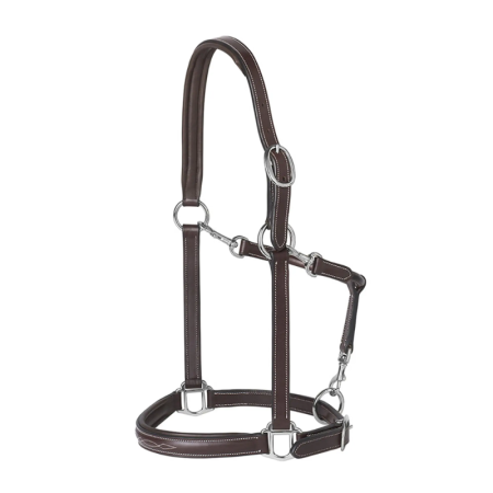 Leather Halter