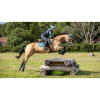 Carbon Air XC Boots Hind