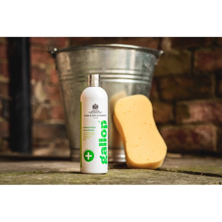 Gallop® Antibacterial Shampoo by Carr & Day & Martin