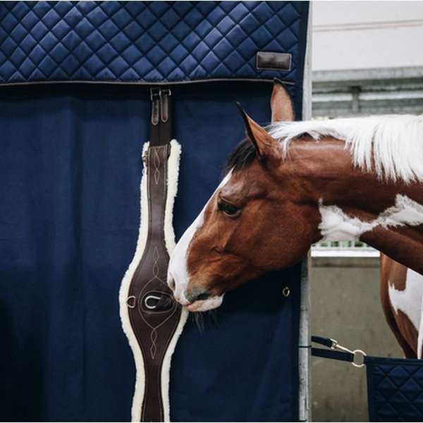 Stable Curtain Waterproof