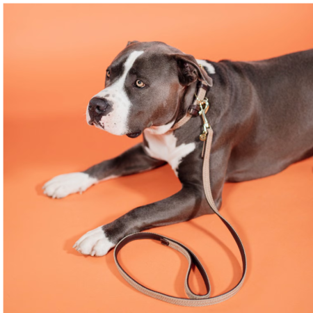 Plaited Nylon Dog Lead 120cm