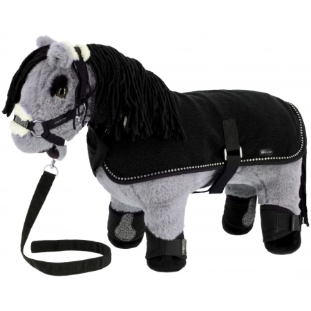 Set Mini licol+couverture Pony Academy