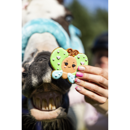 Iced Cookie BUTTERFLY - Rainbow World