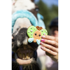 Iced Cookie BUTTERFLY - Rainbow World