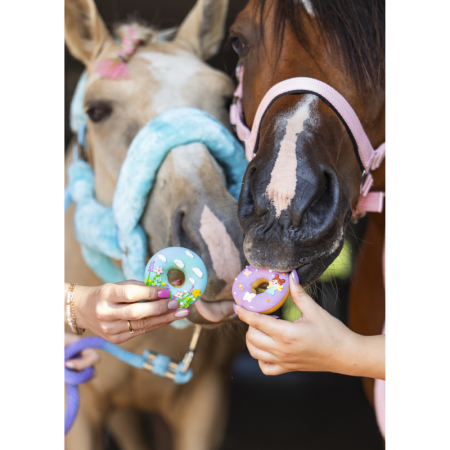 Rainbow World – Iced Donuts