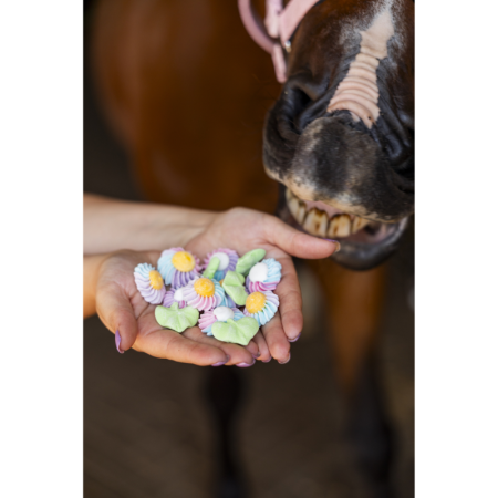 Sweet Candy – Rainbow World