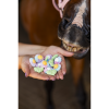 Sweet Candy – Rainbow World