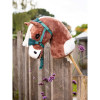 Hobby Horse Flash
