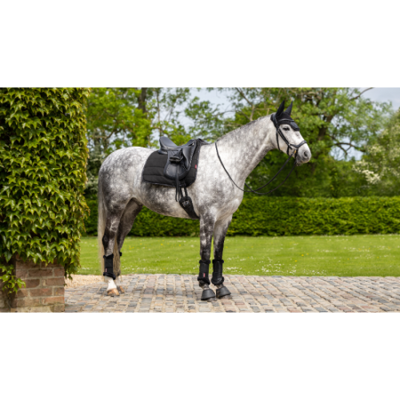 Tapis de travail Dressage