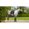 Tapis de travail Dressage