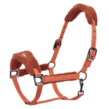HVPTeddy Headcollar