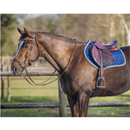 Avyra Saddle Pad