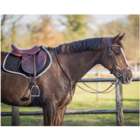 Avyra Saddle Pad