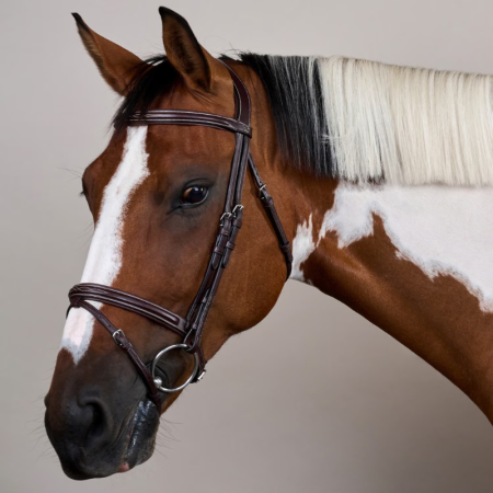 Flash Noseband Bridle