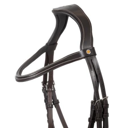 Bridon Anglais Equestro Muserolle Anatomique