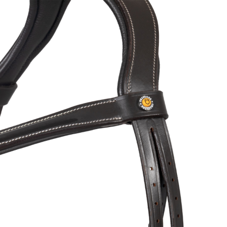 Bridon Anglais Equestro Muserolle Anatomique