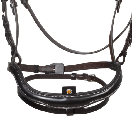 Bridon Anglais Equestro Muserolle Anatomique