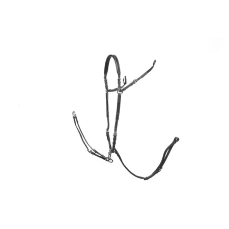 copie de Collier de chasse 3-point NEW PRO - boucles Inox