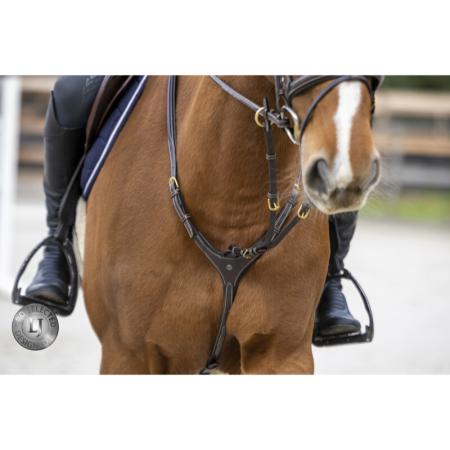 Pro Selected Heritage Collier de chasse