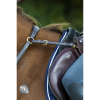 Pro Selected Heritage Collier de chasse