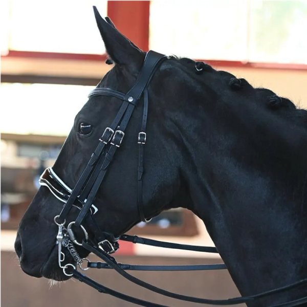 Bride anatomique Dressage Origin